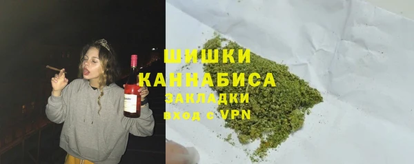стаф Бородино