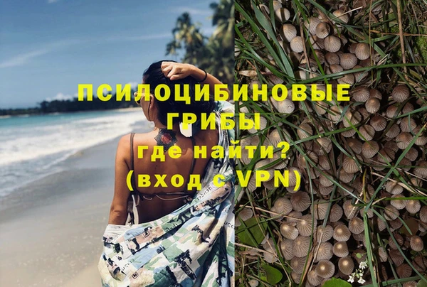 стаф Бородино