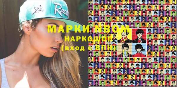 стаф Бородино