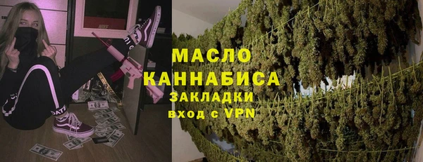 стаф Бородино