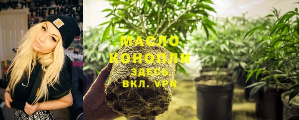 стаф Бородино