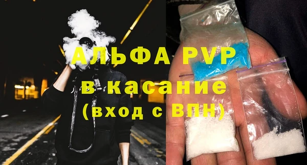 стаф Бородино