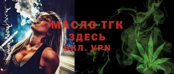 стаф Бородино